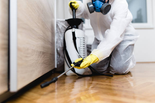 Best Local Pest Control Services  in Union Grove, WI
