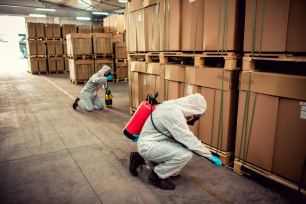 Best Exterminator Services  in Union Grove, WI