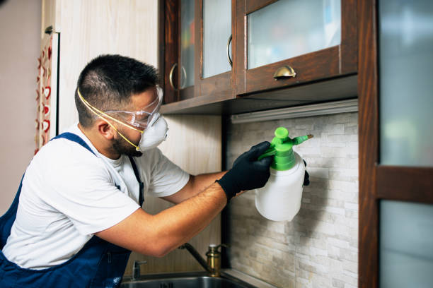 Best Best Pest Control Companies  in Union Grove, WI