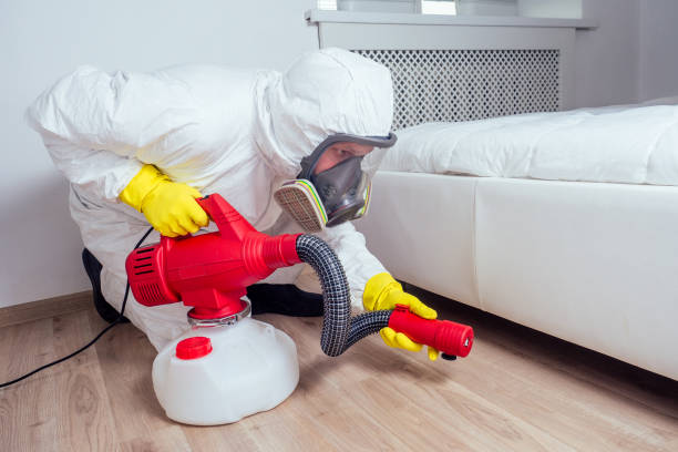Best Termite Control Services  in Union Grove, WI