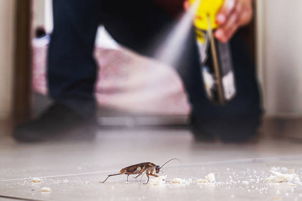 Best Pest Control for Restaurants  in Union Grove, WI
